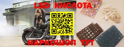 прущие грибы Можайск