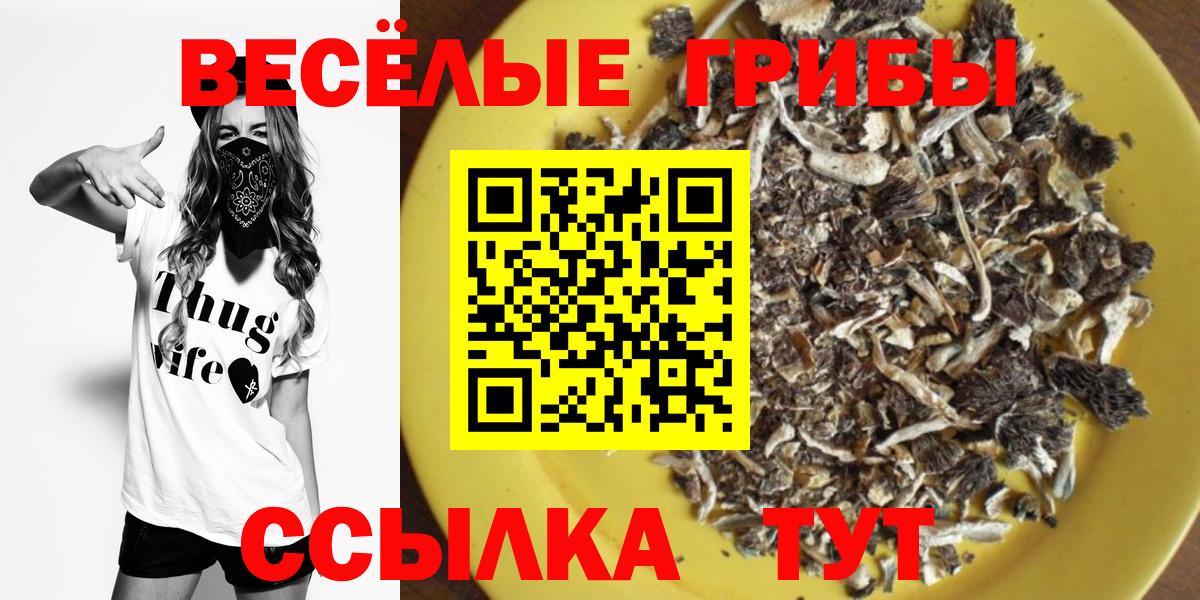 Псилоцибиновые грибы прущие грибы  Вход с VPN  Вышний Волочёк  Псилоцибиновые грибы мицелий 